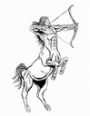 Centaur Investigation Services