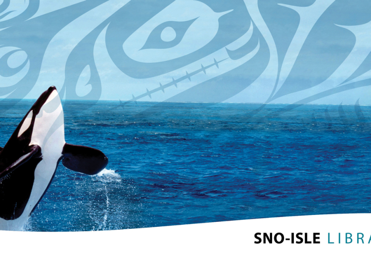 Haiku Orca