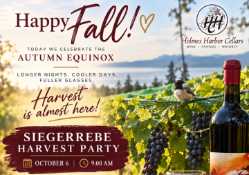 Join us for our Siegerrebe Harvest event at Holmes Harbor Cellars