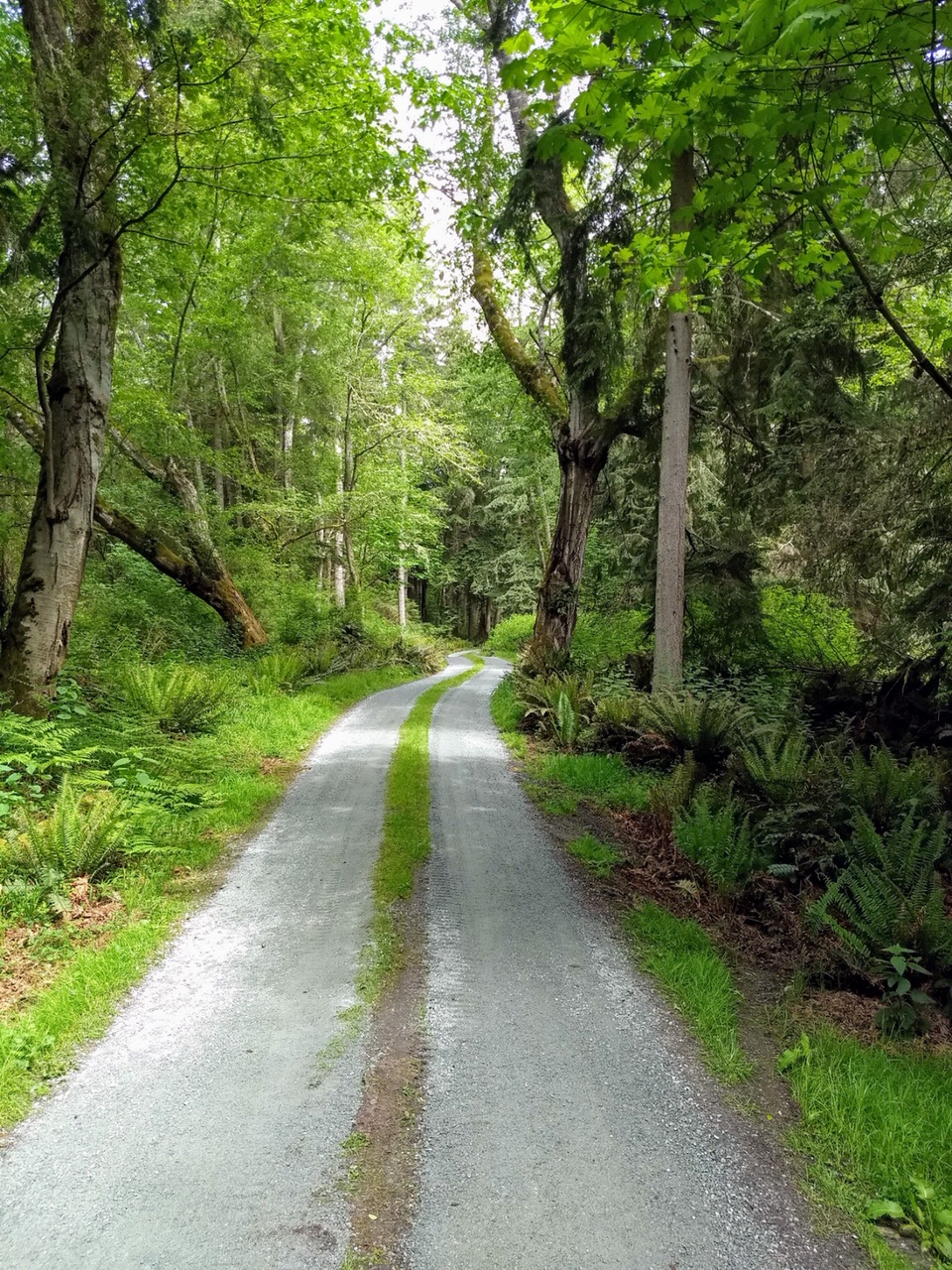 Country Road Driveway Maintenance