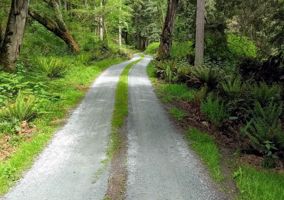 Country Road Driveway Maintenance