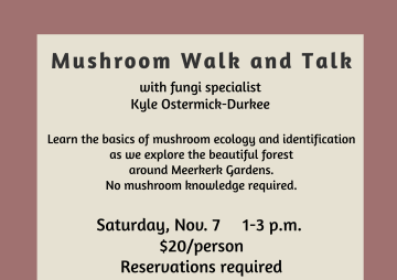 Mushroom Walk and Talk