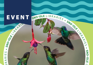 Hummingbirds: Masters of the Air