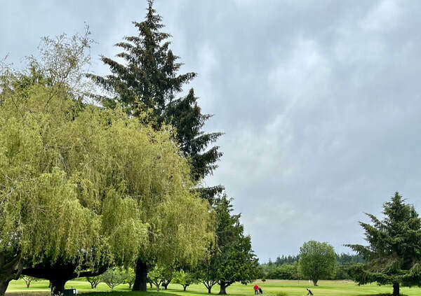 Deception Pass Golf Center