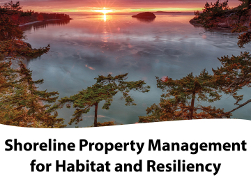 Shoreline Property Management For Habitat and Resiliency