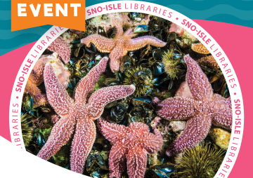 Magical Creature Care: Exploring the Intertidal World