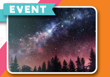 Whidbey Wonders: Whidbey's Night Sky