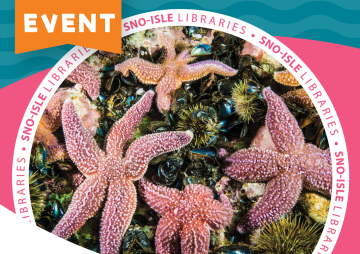 Invertebrates in the Salish Sea
