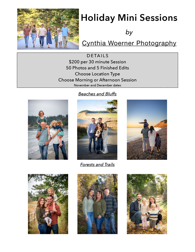 Holiday Mini Photo Sessions