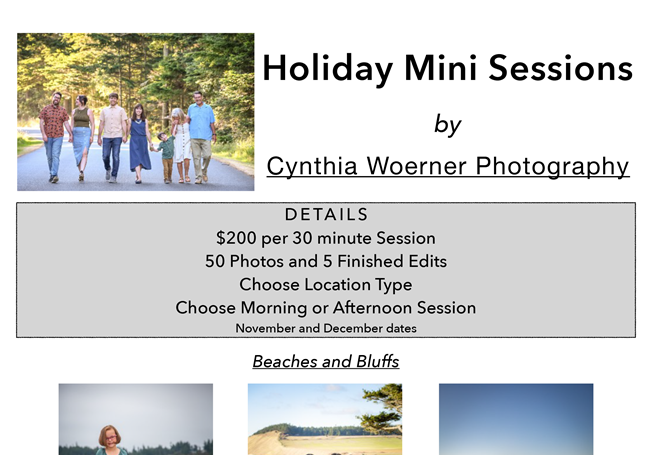 Holiday Mini Photo Sessions