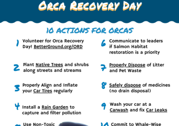 Orca Recovery Day