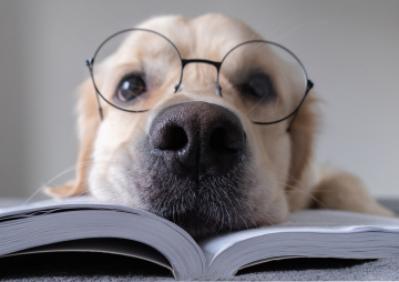 Reading With Rover