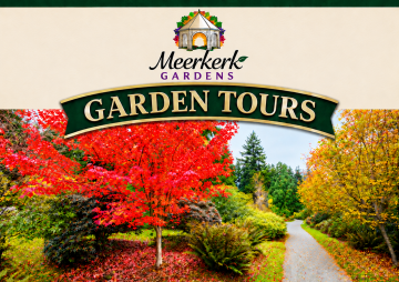 Autumn Garden Tour at Meerkerk Gardens