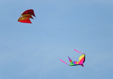 Whidbey Island Kite Fliers Fun Fly