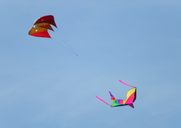 Whidbey Island Kite Fliers Fun Fly