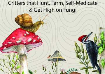 Animal Mycophiles (Critters That Hunt, Farm, Self-Medicate, and Get High on Fungi)