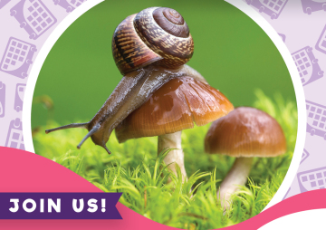 Whidbey Wonders: Animal Mycophiles, the Fauna-Funga Connection