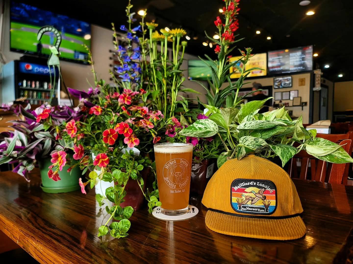 Fall Plant Pop-Up at Wicked Teuton Brewing! 