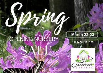 Meerkerk Opening Nursery Sale