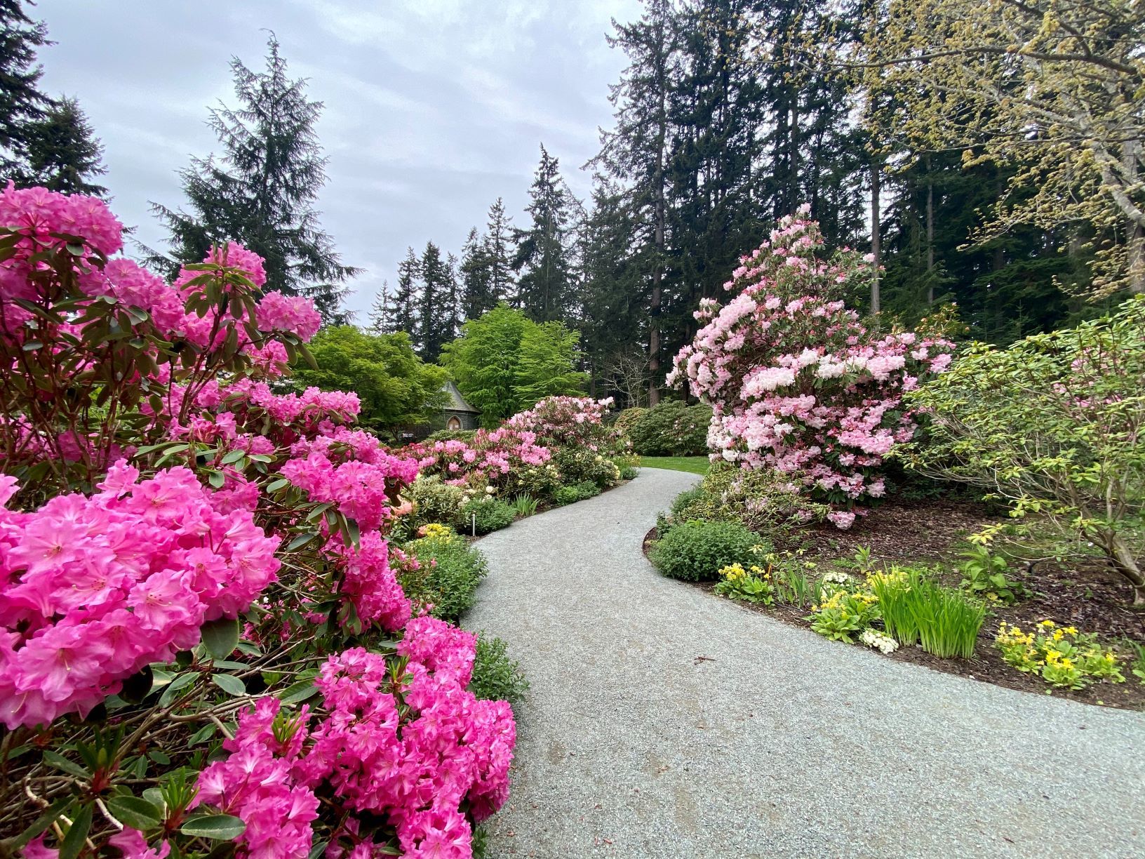 Meerkerk Rhododendron Gardens