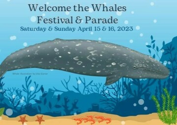 Welcome the Whales Parade & Festival