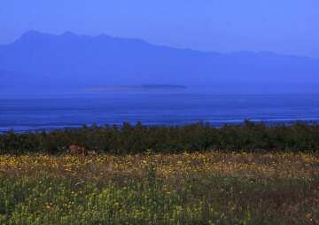 Library Walk at Admiralty Inlet Natural Area Preserve