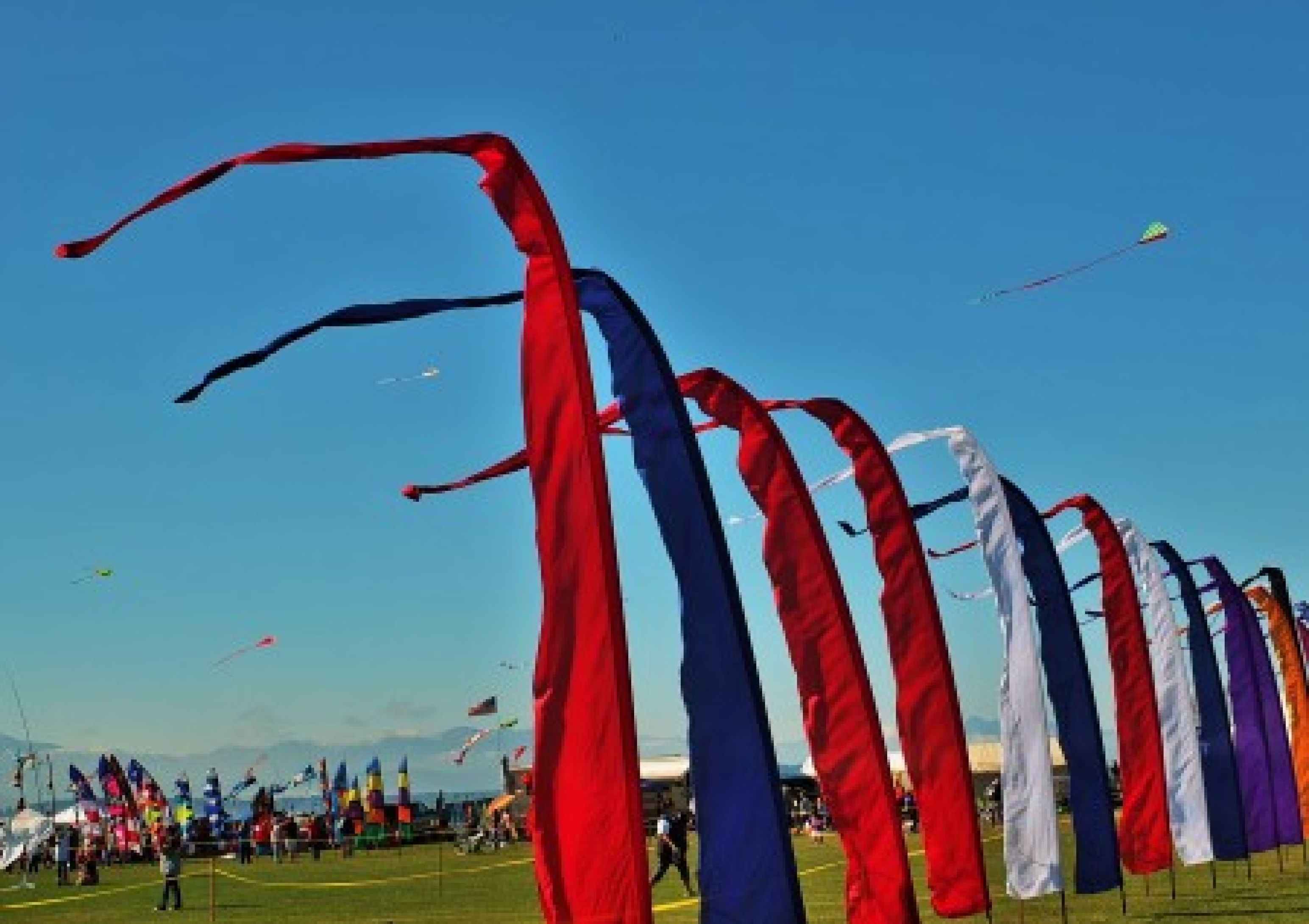 Whidbey Island Kite Festival (no longer having this)