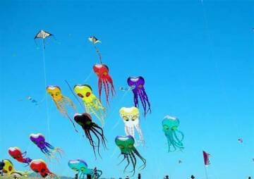 Whidbey Island Kite Fliers Fun Fly