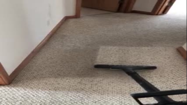 A Clean Carpet 2